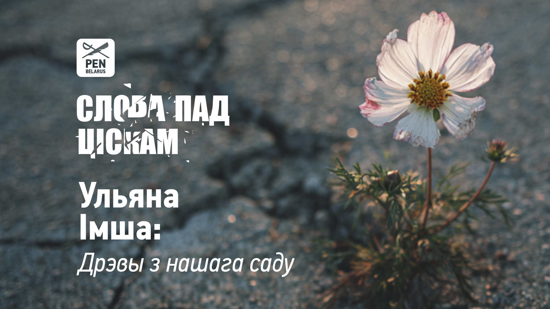 Ульяна Імша: Дрэвы з нашага саду