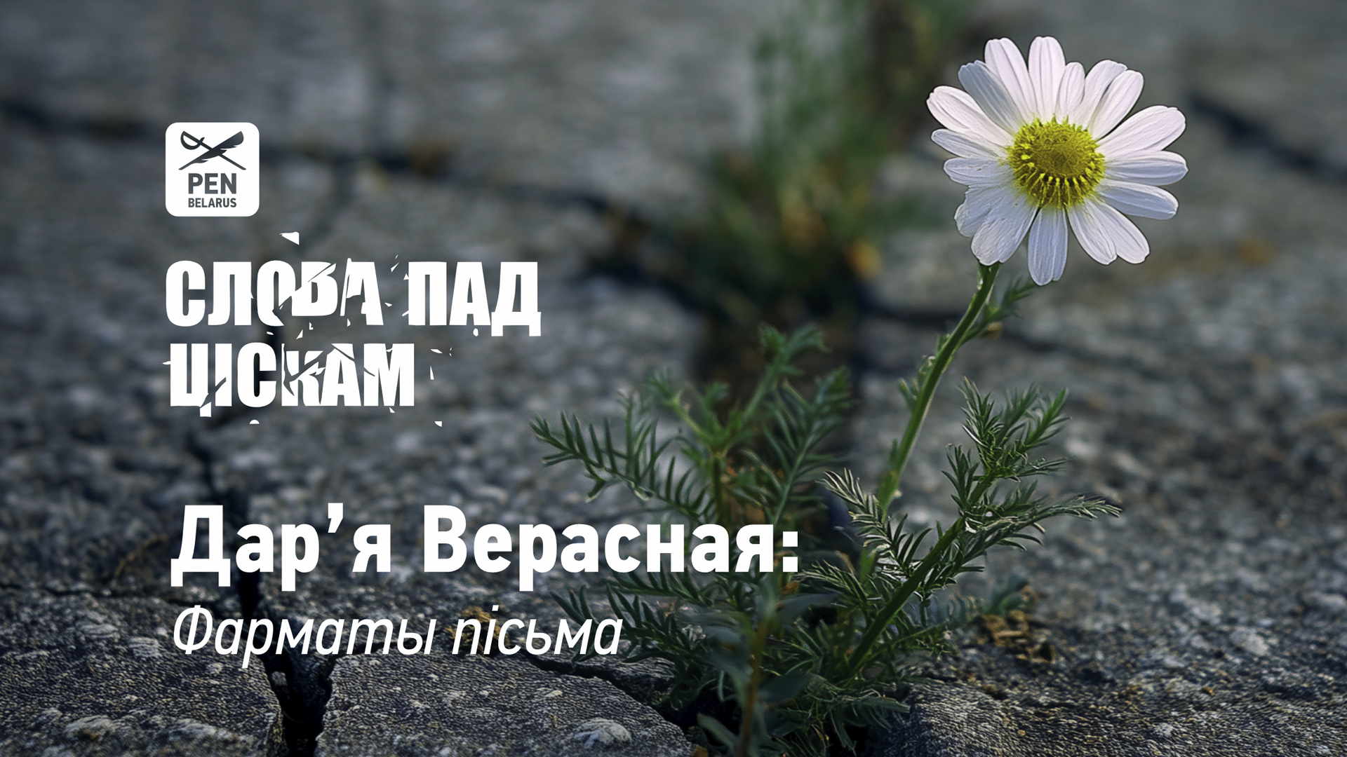 Дар’я Верасная: Фарматы пісьма