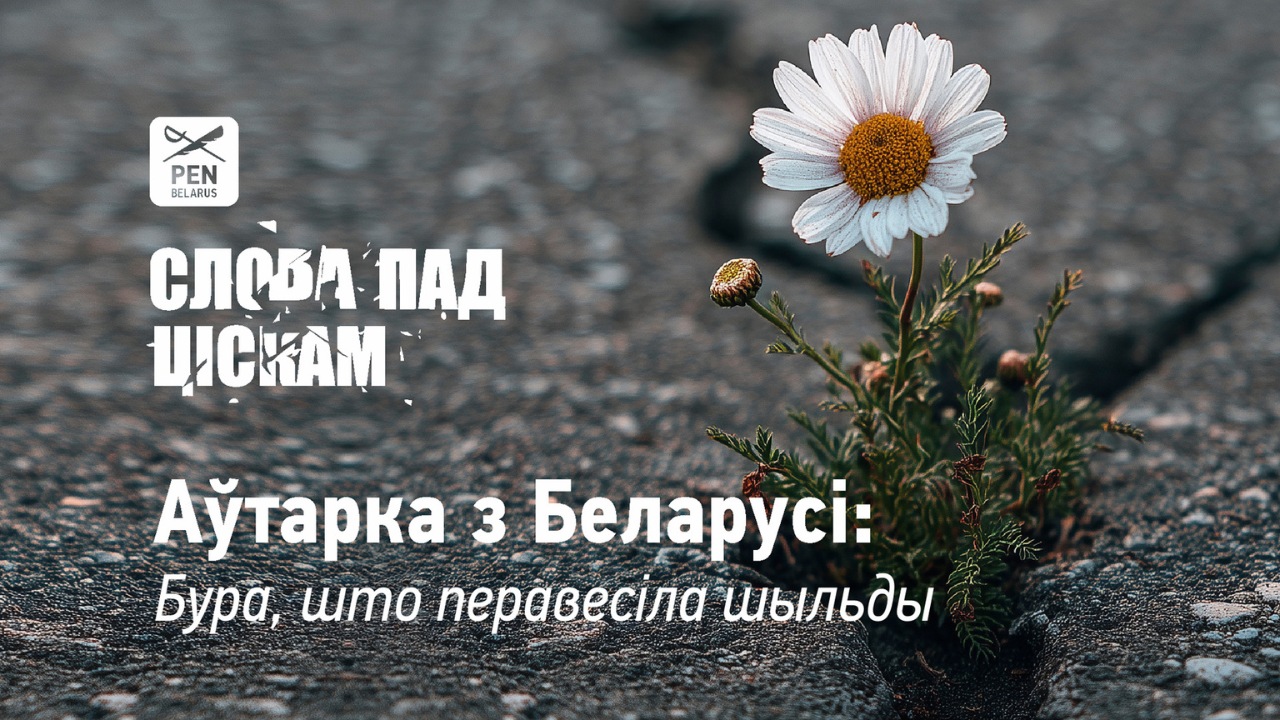 Аўтарка з Беларусі: Бура, што перавесіла шыльды